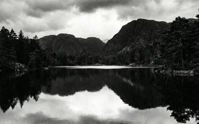 They Told You to Drink Before You're Thirsty. People Died.