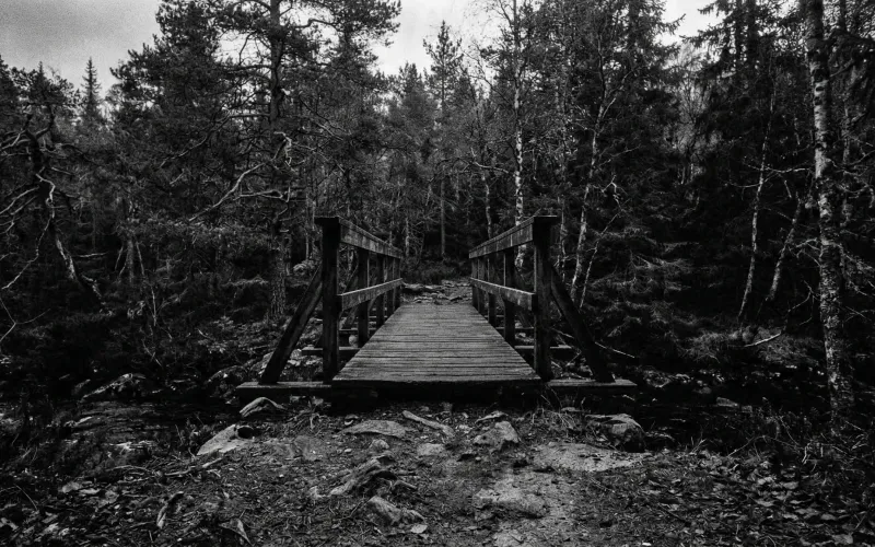 You Already Have Everything You Need to Start Running