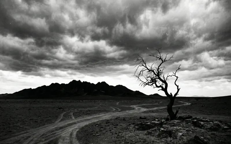 Protein Deficiency Is a Marketing Condition