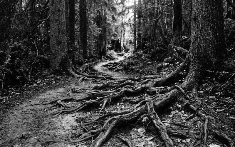 Stop Fearing Your Heel Strike