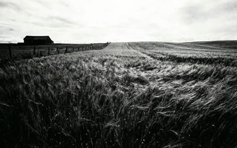 The Eight Declarations of Nourishment